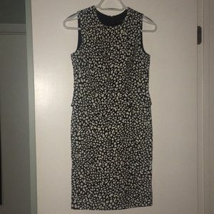 Ann Taylor dress